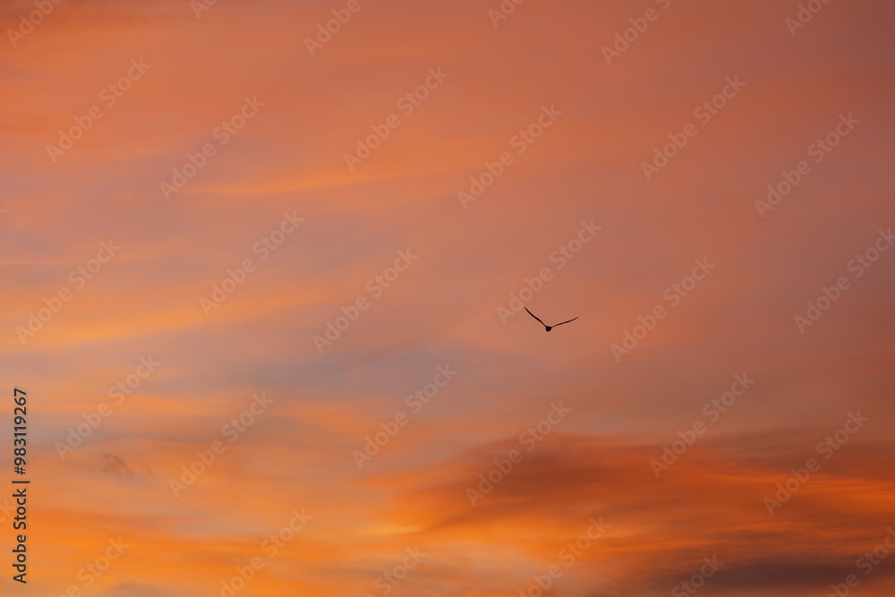 Lonely bird is flying in the dramatic orange sky at sunset, creating a sense of serenity and freedom. The warm colors of the sky evoke peace and tranquility Lonely bird is flying in the dramatic orange sky at sunset, creating a sense of serenity and freedom. The warm colors of the sky evoke peace and tranquility