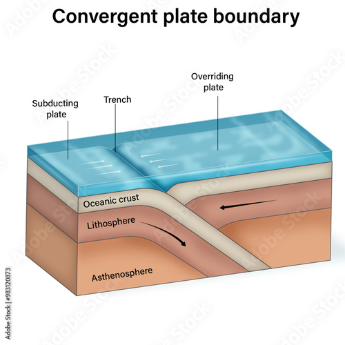 Detailed Vector Illustration of Convergent Plate Boundary Formation: Geological Processes and Features with Labels