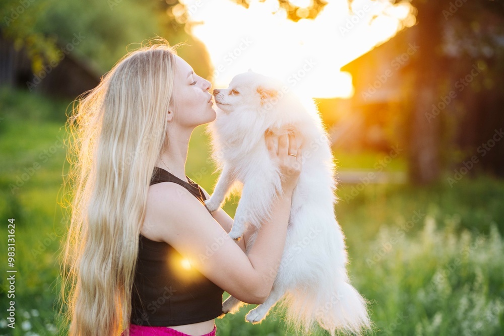 Young lady embraces and kisses her white pomeranian dog in a sunset lit field Young lady embraces and kisses her white pomeranian dog in a sunset lit field
