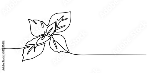 Basil leaves simple vector sketch drawing. One continuous line art illustration for background or pesto label design with lettering basil, Green basil one continuous line drawing art. Vector