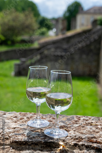 Glasses of white wine in old wine domain on Sauternes vineyards in Barsac village and old castle on background, Bordeaux, France photo