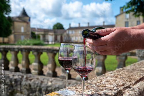 Glasses of french dry red wine in old wine domain on Graves vineyards in Portets village and old castle on background, Bordeaux, France photo