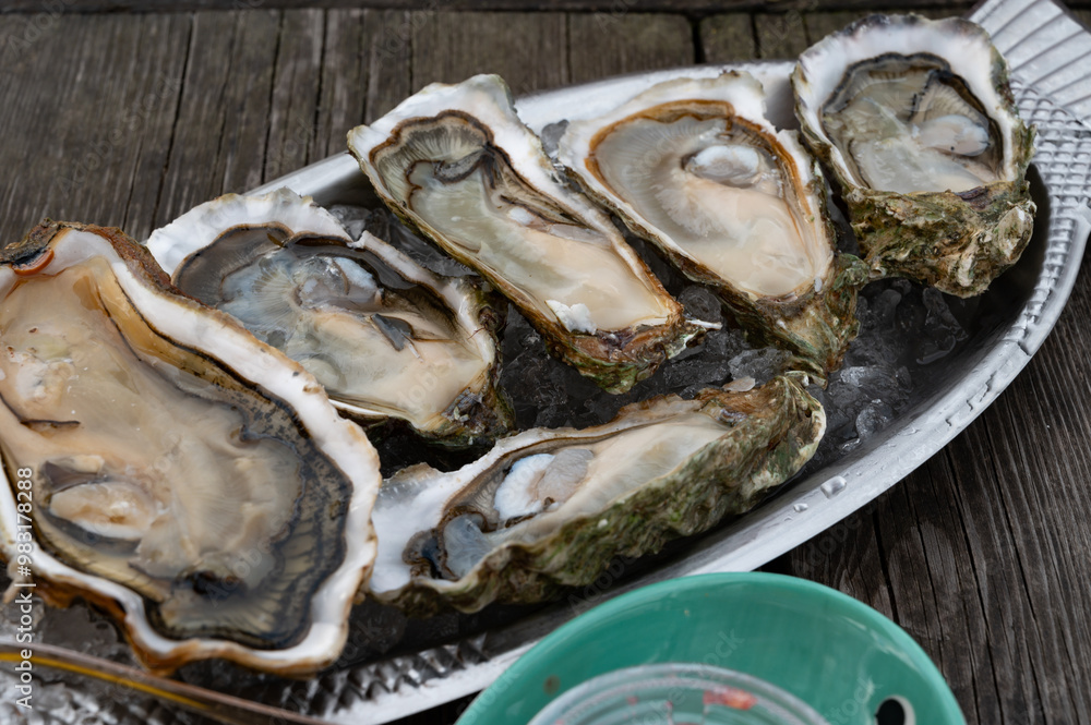 Eating of fresh live oysters with citron at farm cafe in oyster-farming village, Arcachon bay, Gujan-Mestras port, Bordeaux, France in sunny day, huge oyster Eating of fresh live oysters with citron at farm cafe in oyster-farming village, Arcachon bay, Gujan-Mestras port, Bordeaux, France in sunny day, huge oyster