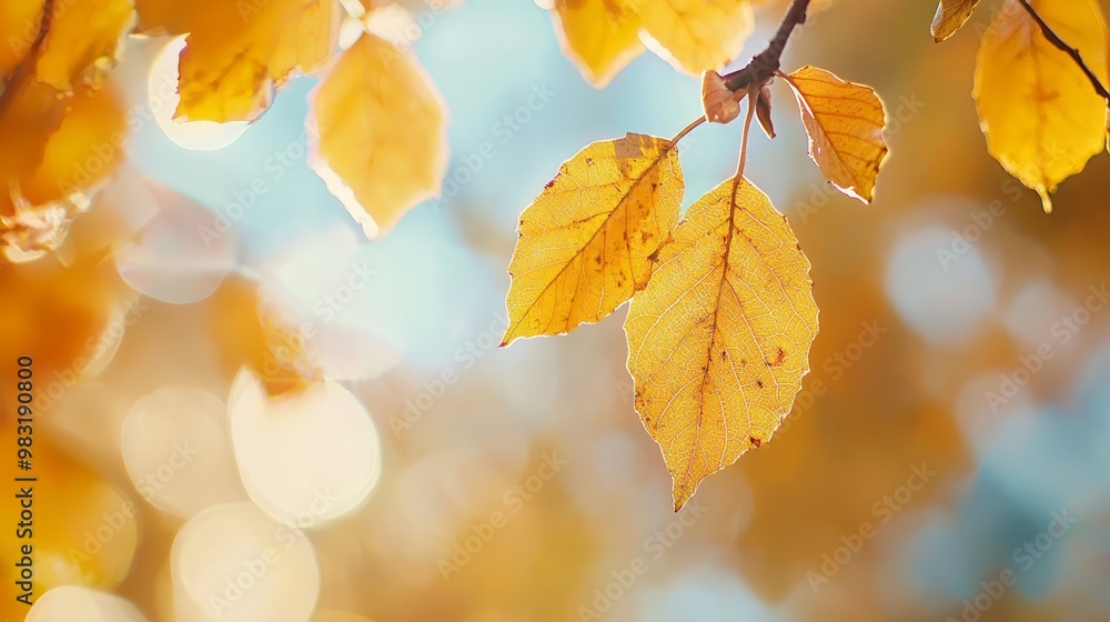 A tight shot of a yellow leaf on a tree branch, surrounded by an out-of-focus backdrop of trees A tight shot of a yellow leaf on a tree branch, surrounded by an out-of-focus backdrop of trees