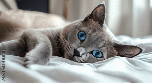 A relaxed Siamese cat lounging on a cozy bed in a serene bedroom setting in t...