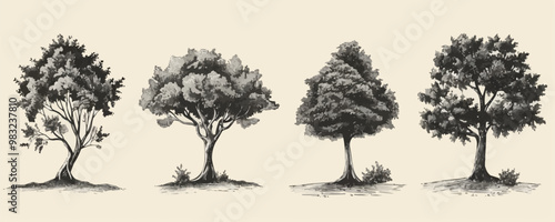 Hand drawn sketch tree species illustration set. Vector isolated vintage background