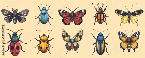 Set of insects in color drawn in doodle style.Hand made. vector simple illustration