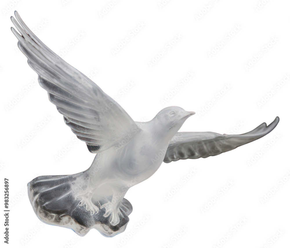 Fototapeta premium PNG Animal bird seagull flying.