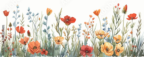 Flowers field Provence sketch hand drawn Plants. vector simple illustration