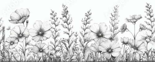 Part of field wild flowers sketch hand drawn sketch in doodle style Vector illustration