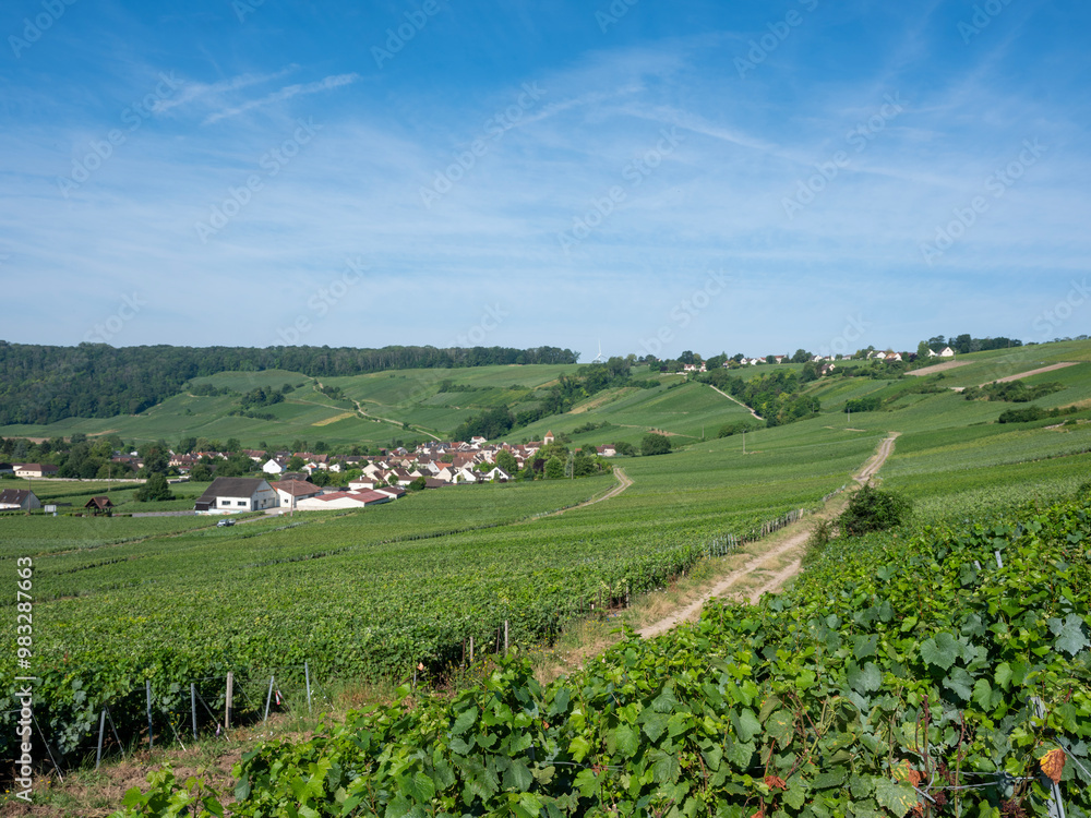 vineyards in ile de france between paris and reims vineyards in ile de france between paris and reims