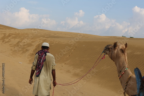 camel in the desert of Thar in India