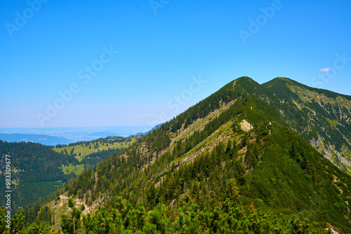 Mountain Peak in Austrian Alps. Leonsberg, Upper Austria.  photo