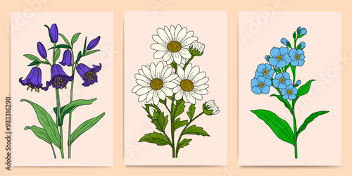 Minimalist flower collection of Forget Me Not, Daisy and Common Bluebell - Hand-Drawn Botanical Illustrations for Prints, Flyers, Banners, Invitations, Branding Design, Covers And Home Decoration