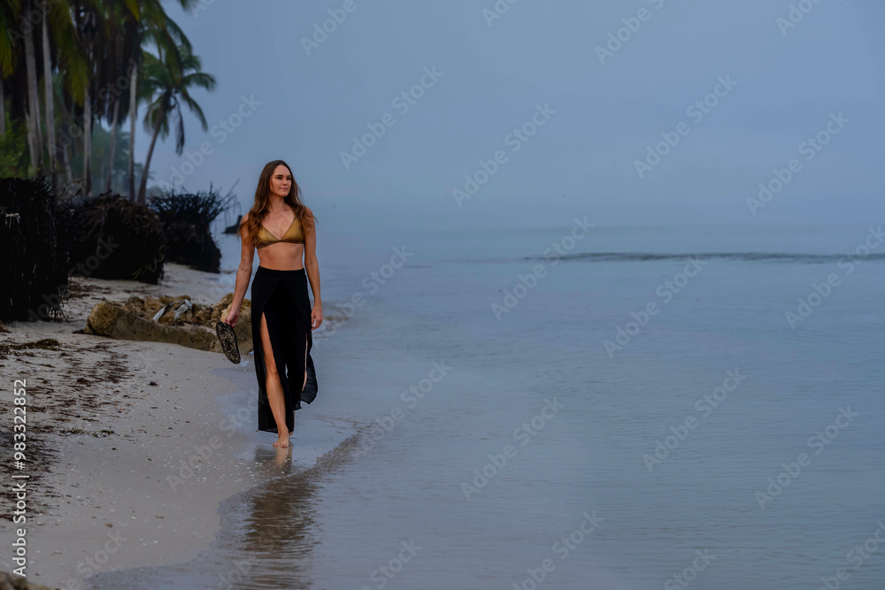 Solitude in Paradise: A Beautiful Journey Along the Foggy Caribbean Coastline Solitude in Paradise: A Beautiful Journey Along the Foggy Caribbean Coastline