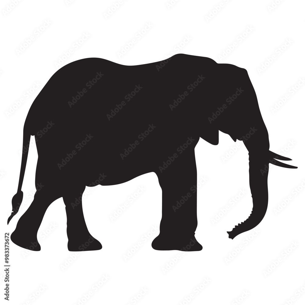 Elephant black and white silhouette vector, vector silhouette of an elephant on a white background Elephant black and white silhouette vector, vector silhouette of an elephant on a white background
