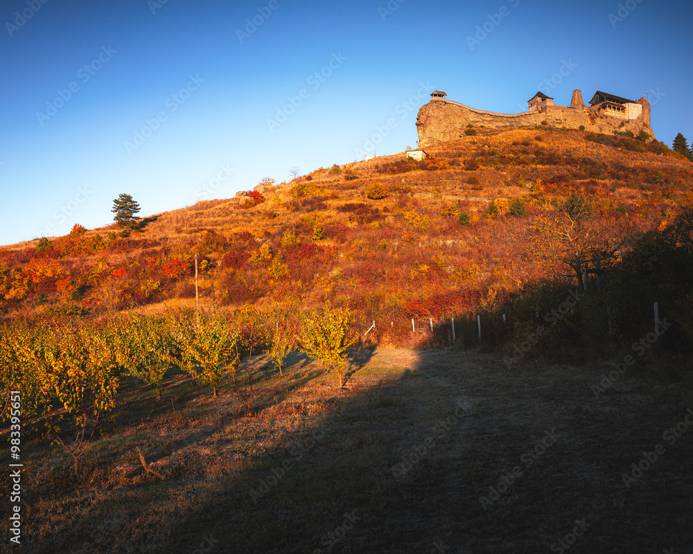 Obraz premium Famous medieval castle of Boldogko, Hungary in autumn