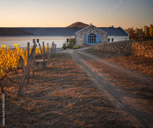 Nice restaurant and wine cellar at wonderful vineyards at Tokaj in autumn
