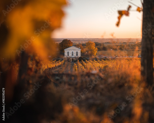 Nice restaurant and wine cellar at wonderful vineyards at Tokaj in autumn