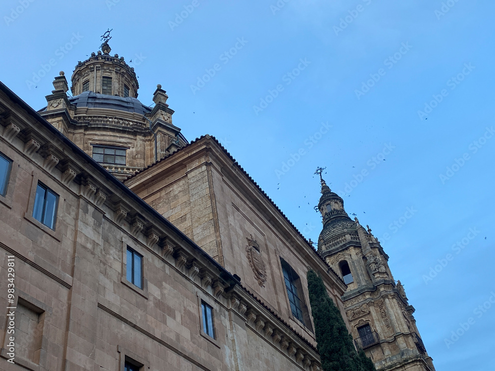 Fototapeta premium ciudad rodrigo salamanca detalles 2024