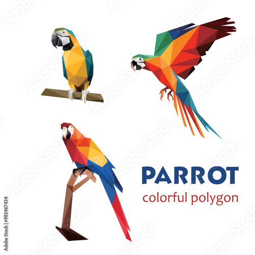 Beautiful Parrot Bird Set in polygonal. Abstract parrot Collection Illustration. Polygonal Parrot Illustration.eps