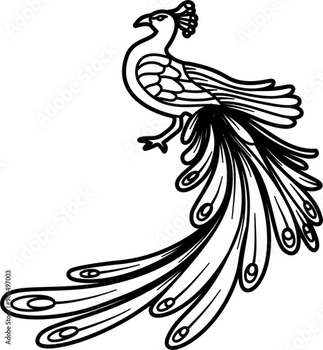Peacock bird coloring outline illustration vector