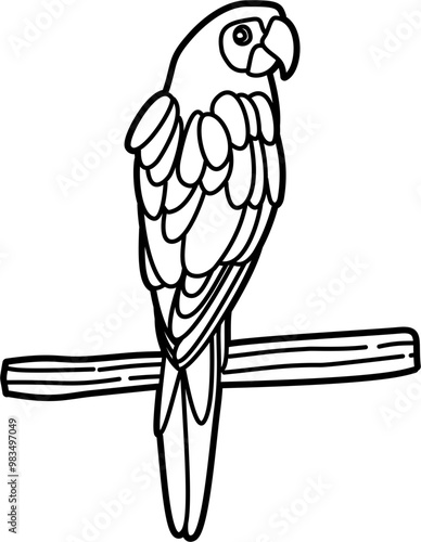 Parrot bird coloring outline illustration vector