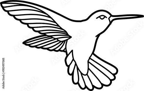 Humming bird coloring outline illustration vector