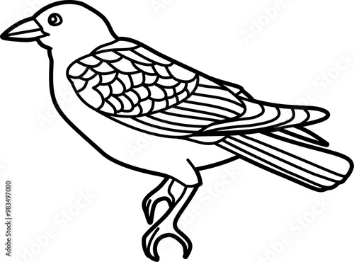 Crow bird coloring outline illustration vector