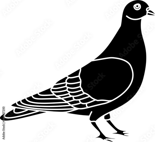 Pigeon bird illustration vector