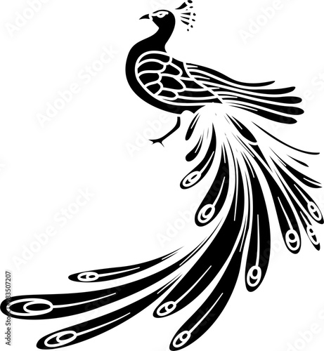Peacock bird illustration vector