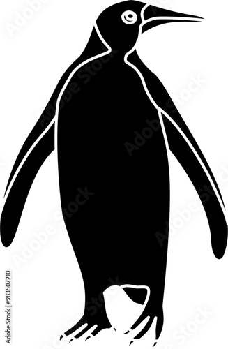 Penguin bird illustration vector