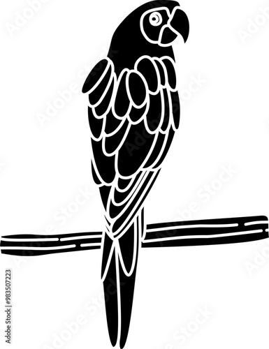 Parrot bird illustration vector