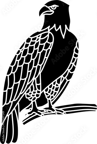 Eagle bird illustration vector
