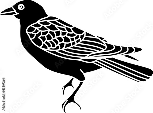 Crow bird illustration vector