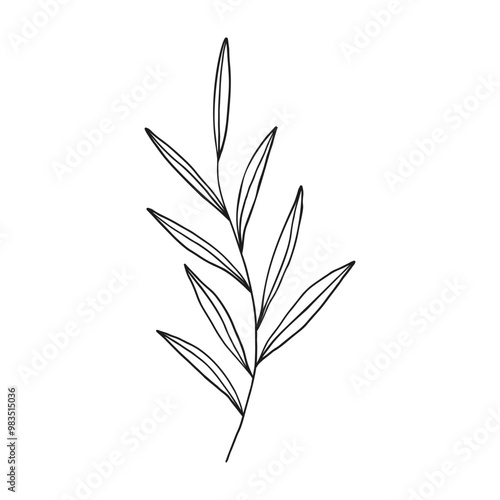 Vector outline branch with leaves.Simple design element for botany emblem.Organic logo template.Hand drawn floral illustration for prints,flyers,banners,wedding,invitations,clipart.