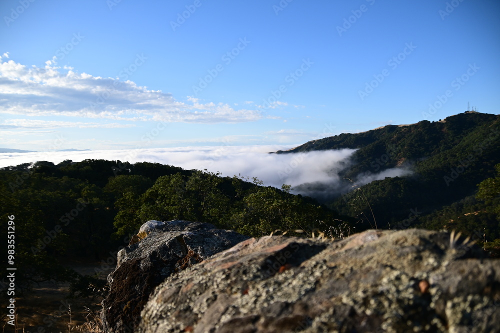 Fototapeta premium landscape with clouds