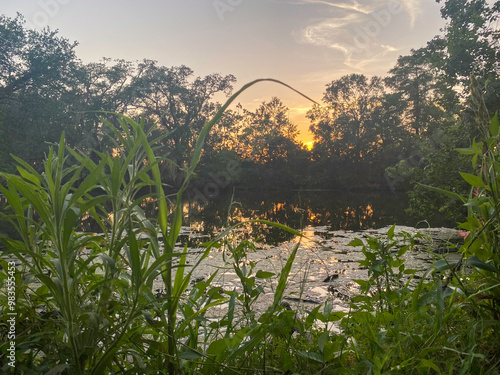 Sunset over the lagoon in City Park New Orleans