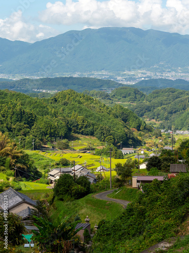 高台から見る明日香村の風景