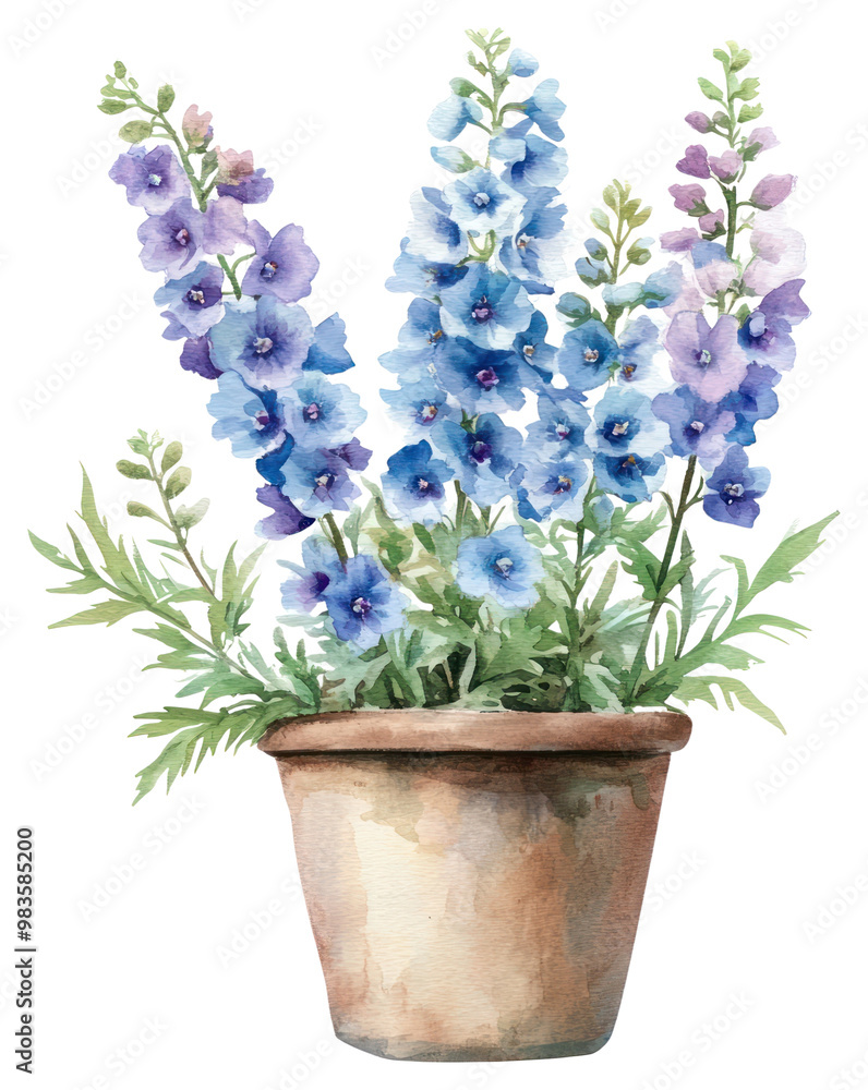 PNG Delphiniums in an antique brown pot illustration watercolor flowers. PNG Delphiniums in an antique brown pot illustration watercolor flowers.