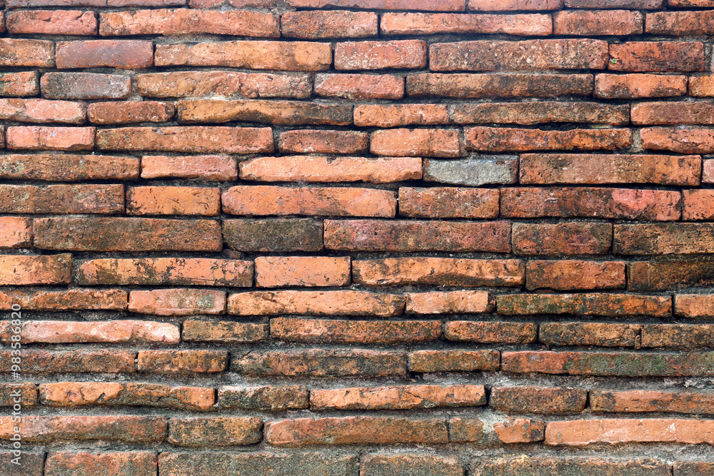 Surface of the red brick wall is old, dirty and covered with black mold. Surface of the red brick wall is old, dirty and covered with black mold.