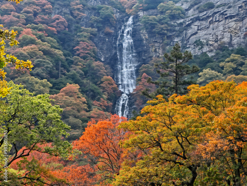 A waterfall is surrounded by trees with leaves that are changing colors. The scene is serene and peaceful, with the water flowing down the rocks and the leaves falling from the trees photo