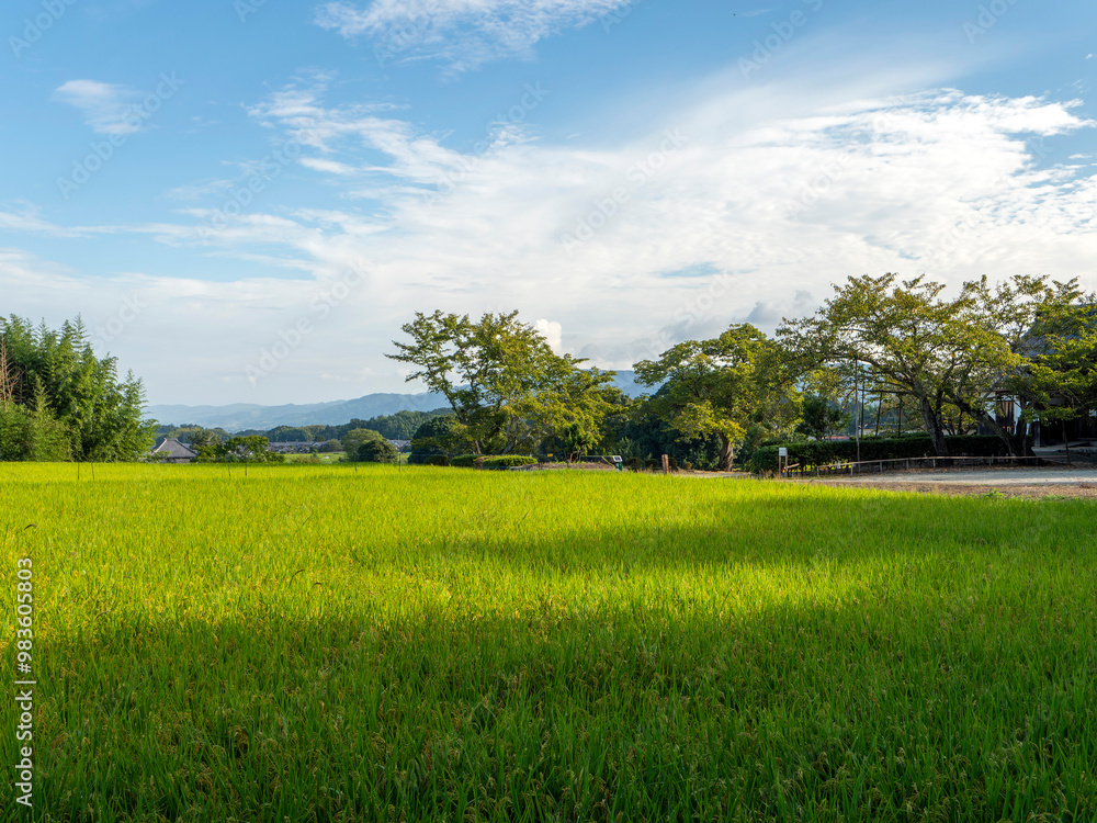 Fototapeta premium 明日香村の田園風景