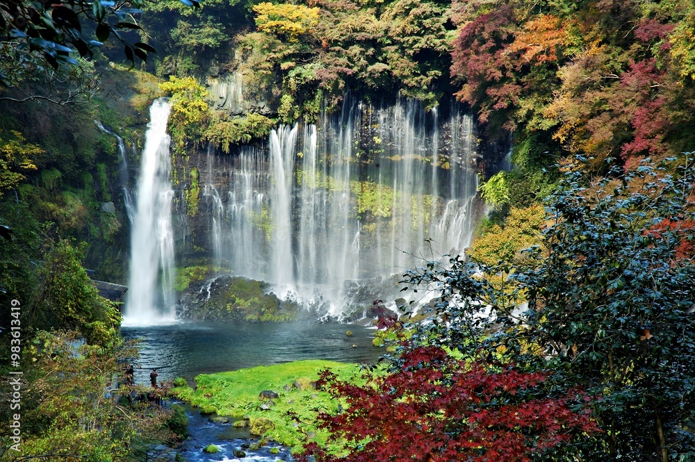 Fototapeta premium A serene waterfall surrounded by vibrant autumn foliage and lush greenery.