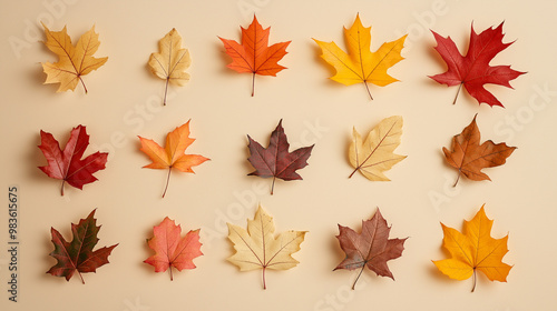 autumn leaves, like maple and oak, in various shades of orange, red, and yellow against an isolated soft beige background