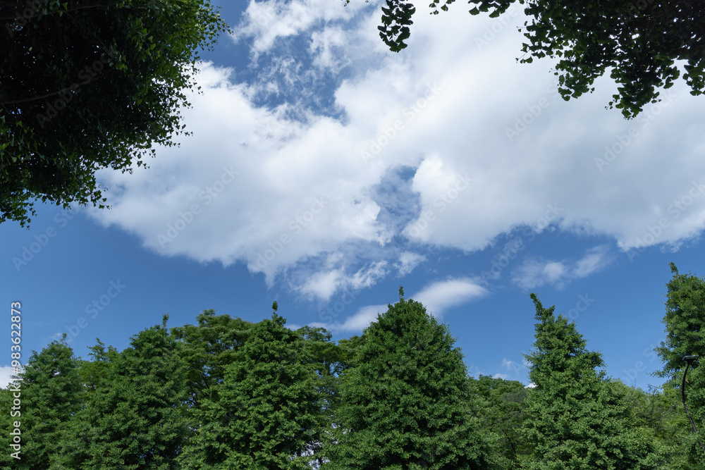 Obraz premium 白い雲が広がる青空と緑色の木々