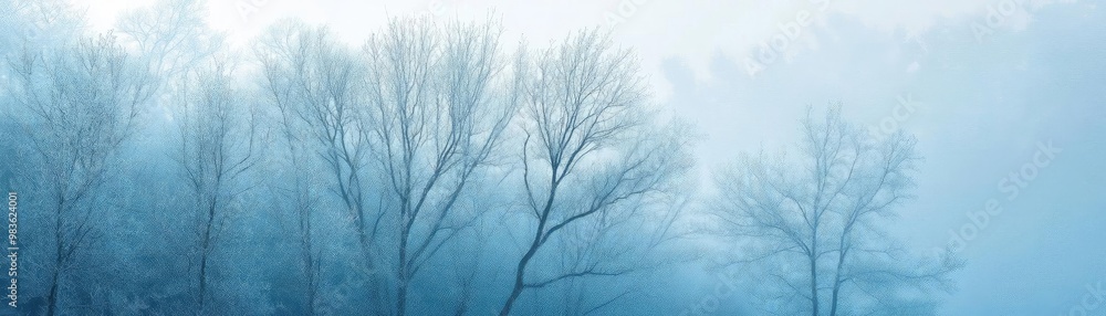 A serene winter landscape featuring bare trees enveloped in soft fog, creating a tranquil and ethereal atmosphere. A serene winter landscape featuring bare trees enveloped in soft fog, creating a tranquil and ethereal atmosphere.