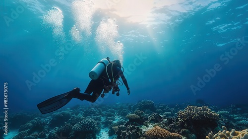 A coral reef being carefully monitored by divers, symbolizing marine preservation.