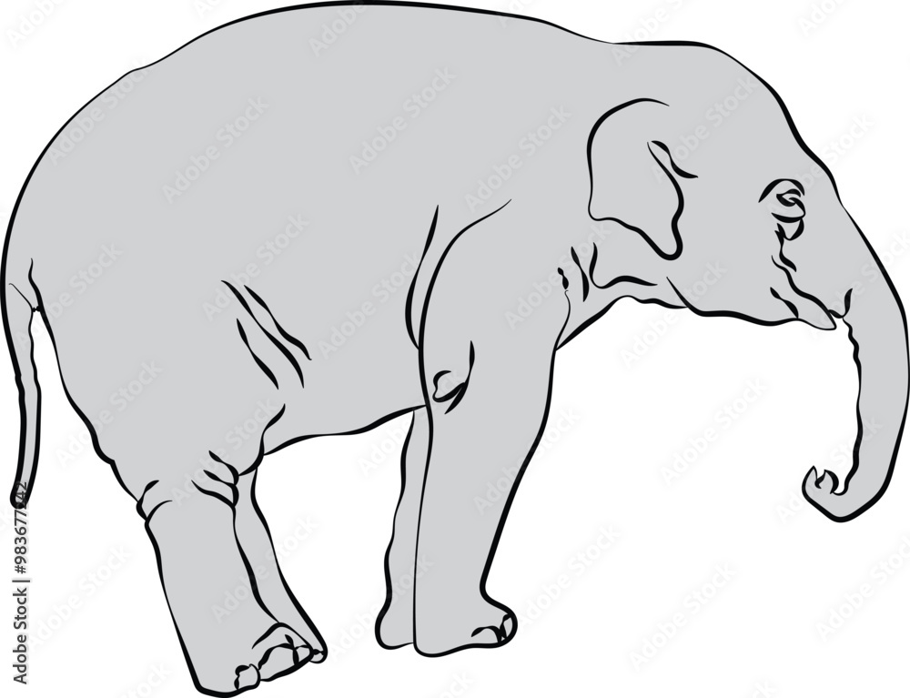Fototapeta premium Elephant in line art ready to paint.
