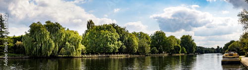 Willow Trees by River Thames photo